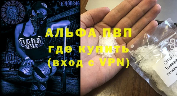 молекула духа Пересвет