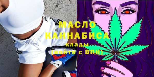 молекула духа Пересвет