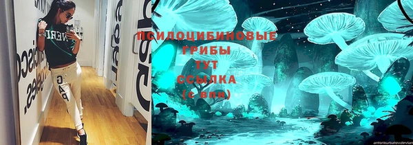 молекула духа Пересвет