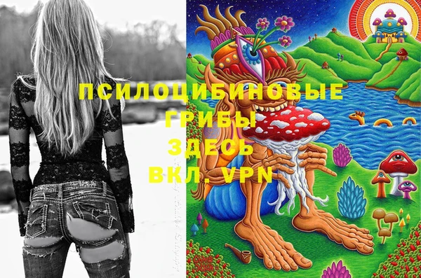 молекула духа Пересвет