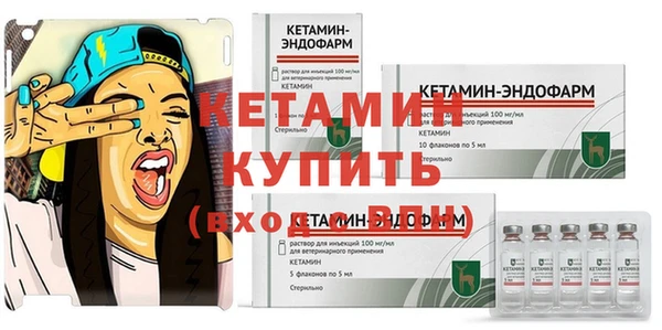молекула духа Пересвет