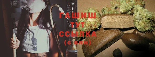 молекула духа Пересвет
